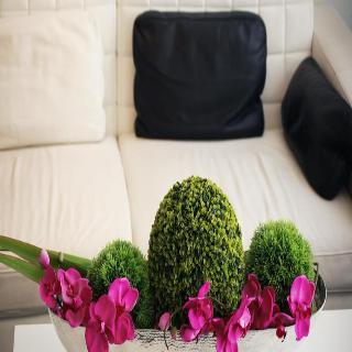 Гостиница The Element Hotel