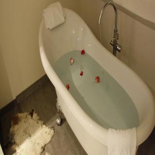 Гостиница The Element Hotel