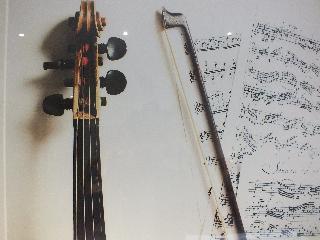 Hotel Paganini