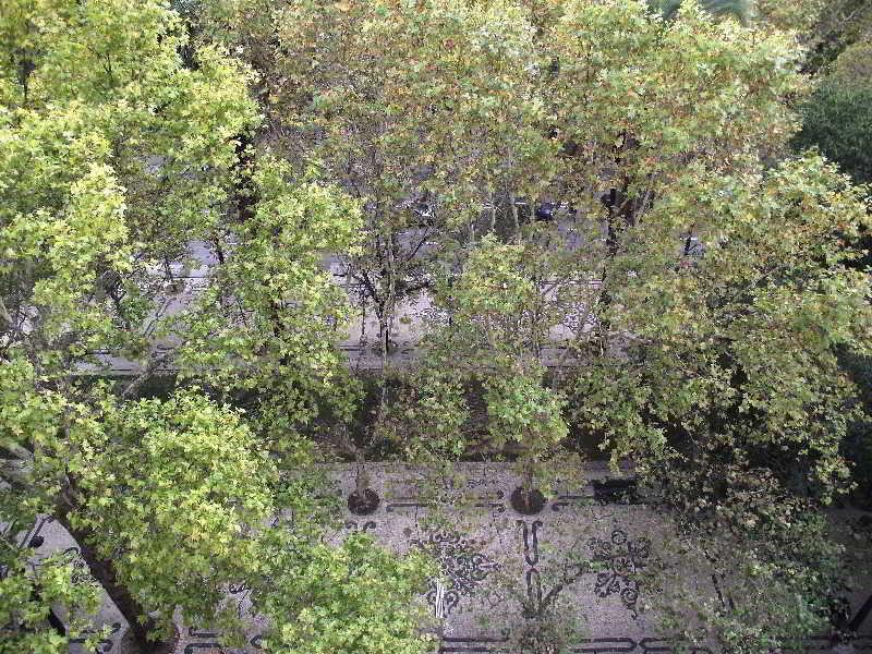 Гостиница Dom Sancho I