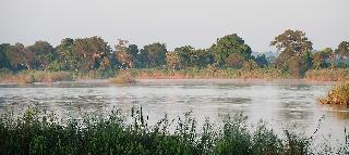 Гостиница Selous Kinga Lodge