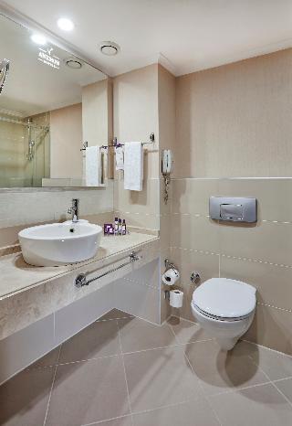 Гостиница Anemon Eskisehir