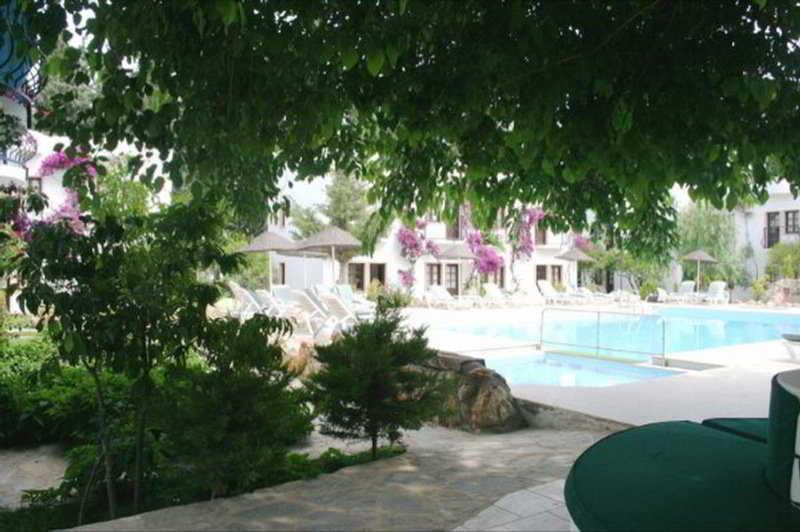 Гостиница Safir