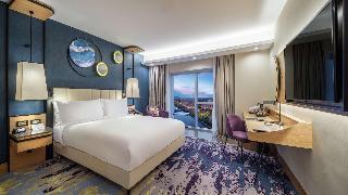Гостиница Doubletree By Hilton Afyonkarahisar