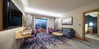Гостиница Doubletree By Hilton Afyonkarahisar