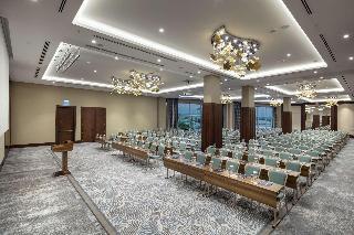 Гостиница Doubletree By Hilton Afyonkarahisar