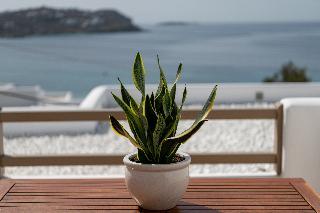 Hotel Lithos by Spyros & Flora