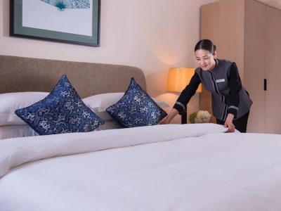 Novlion Hotel Foshan Chancheng
