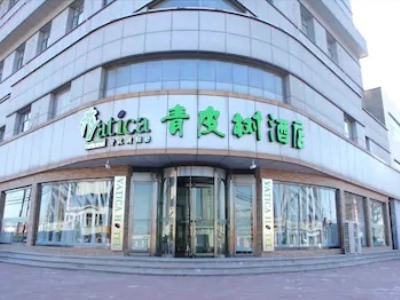 Hotel Vatica Jinghai/Bus St. Home World Plaza
