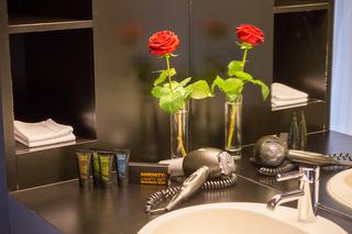 Гостиница Dasbreitehotel Am Rhein