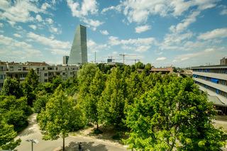 Гостиница Dasbreitehotel Am Rhein