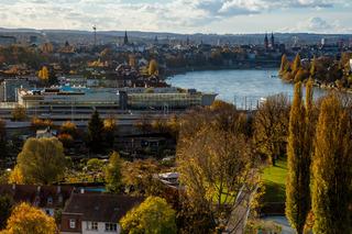Гостиница Dasbreitehotel Am Rhein