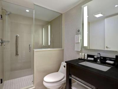 Гостиница Embassy Suites Niagara Falls