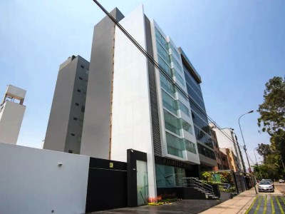 Palmetto Hotel Business San Borja