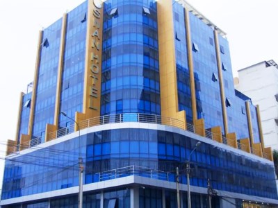 Hotel Swan
