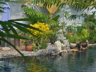Гостиница Evergreen Resort