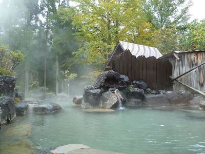 Гостиница Nakashimakan