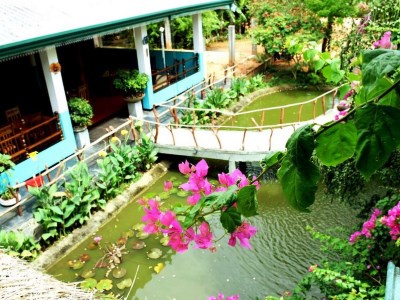 Hotel Hungry Lion Resort