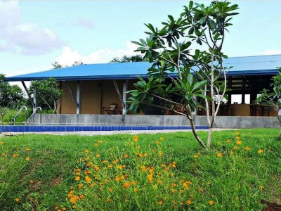 Гостиница Rho Sigiriya Lake Edge Retreat