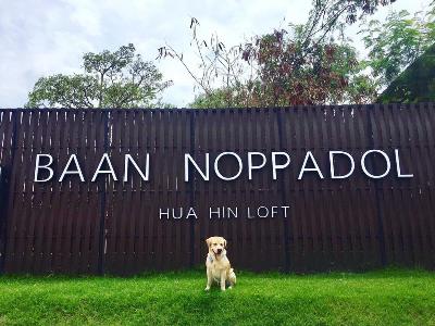 Hotel Oyo 119 Baan Noppadol Hua Hin Loft