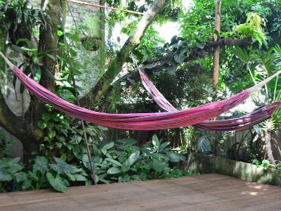 Jardin Azul - Casa Hotel