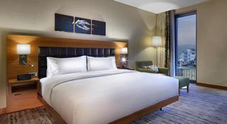 Гостиница DoubleTree by Hilton Trabzon