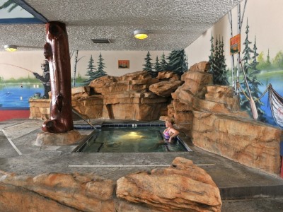 Гостиница Stoney Creek And Conf Center Quad Cities