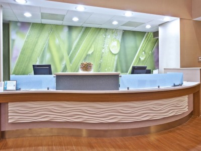 Гостиница Springhill Suites Elmhurst/Oakbrook Area