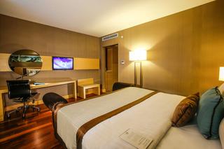 Гостиница Park Dedeman Bostanci Hotel