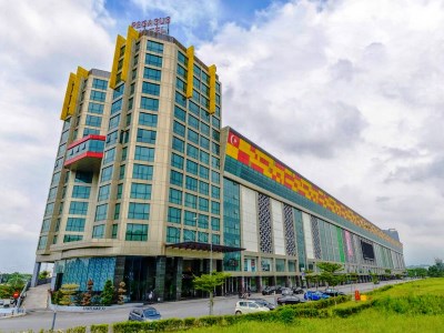 Гостиница Pegasus Inn