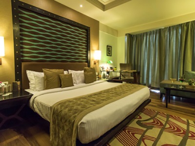 Гостиница Fern An Ecotel Jaipur