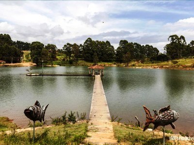 Гостиница Fazenda Pocos De Caldas