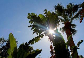 Гостиница URH Sitges Playa
