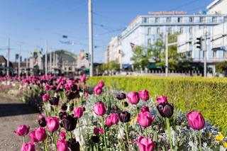 Hotel Euler Basel