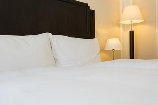 Hotel Euler Basel