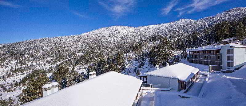 Гостиница Grand Forest Metsovo