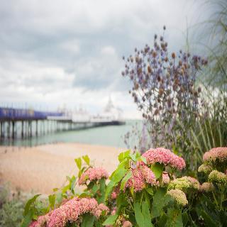 Citrus Hotel Eastbourne by Compass Hospitality