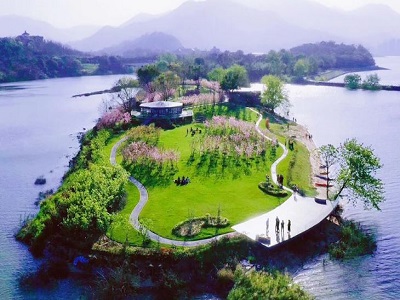 Гостиница The Carp Islet Resort