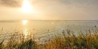 Гостиница Ostsee Resort Damp