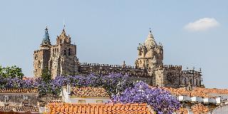 Evora Olive Hotel