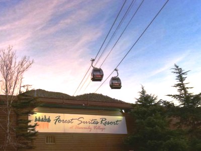 Hotel Forest Suites Resort