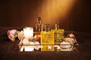 Гостиница Relais Spa Chessy