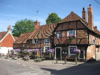 Hotel The Plume of Feathers - Inn