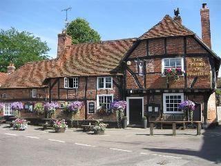 Hotel The Plume of Feathers - Inn