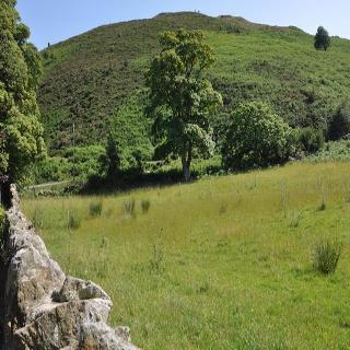 Hotel Sychnant Pass House