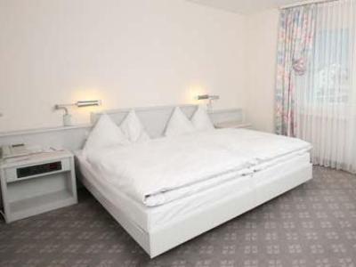 Hotel Winkelried