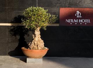 Гостиница Netum Hotel