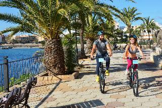 Гостиница Playasol Maritimo
