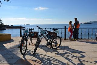 Гостиница Playasol Maritimo