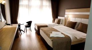 Hotel Arus Otel